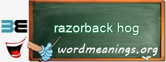 WordMeaning blackboard for razorback hog